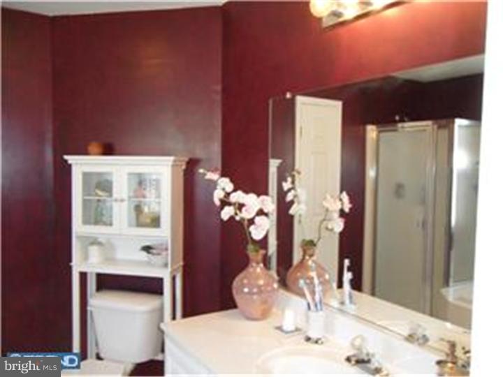 208 Raintree Crossing Hatfield, PA 19440 - Photo 12 of 23 Master Bathroom