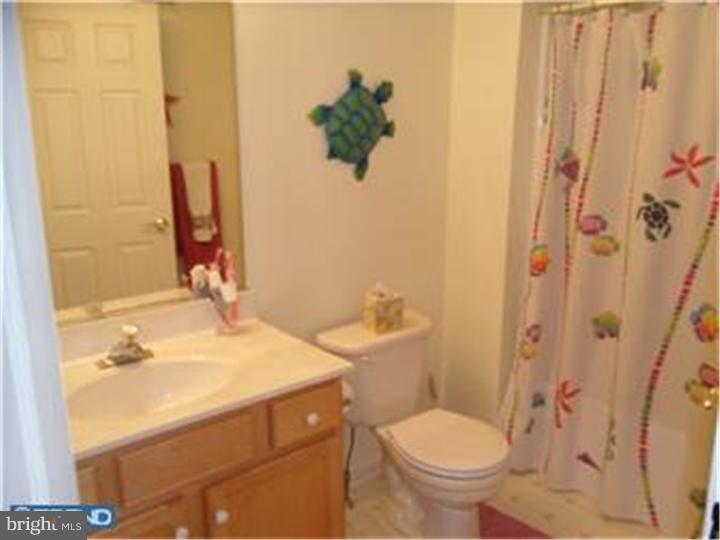 208 Raintree Crossing Hatfield, PA 19440 - Photo 16 of 23 Bathroom