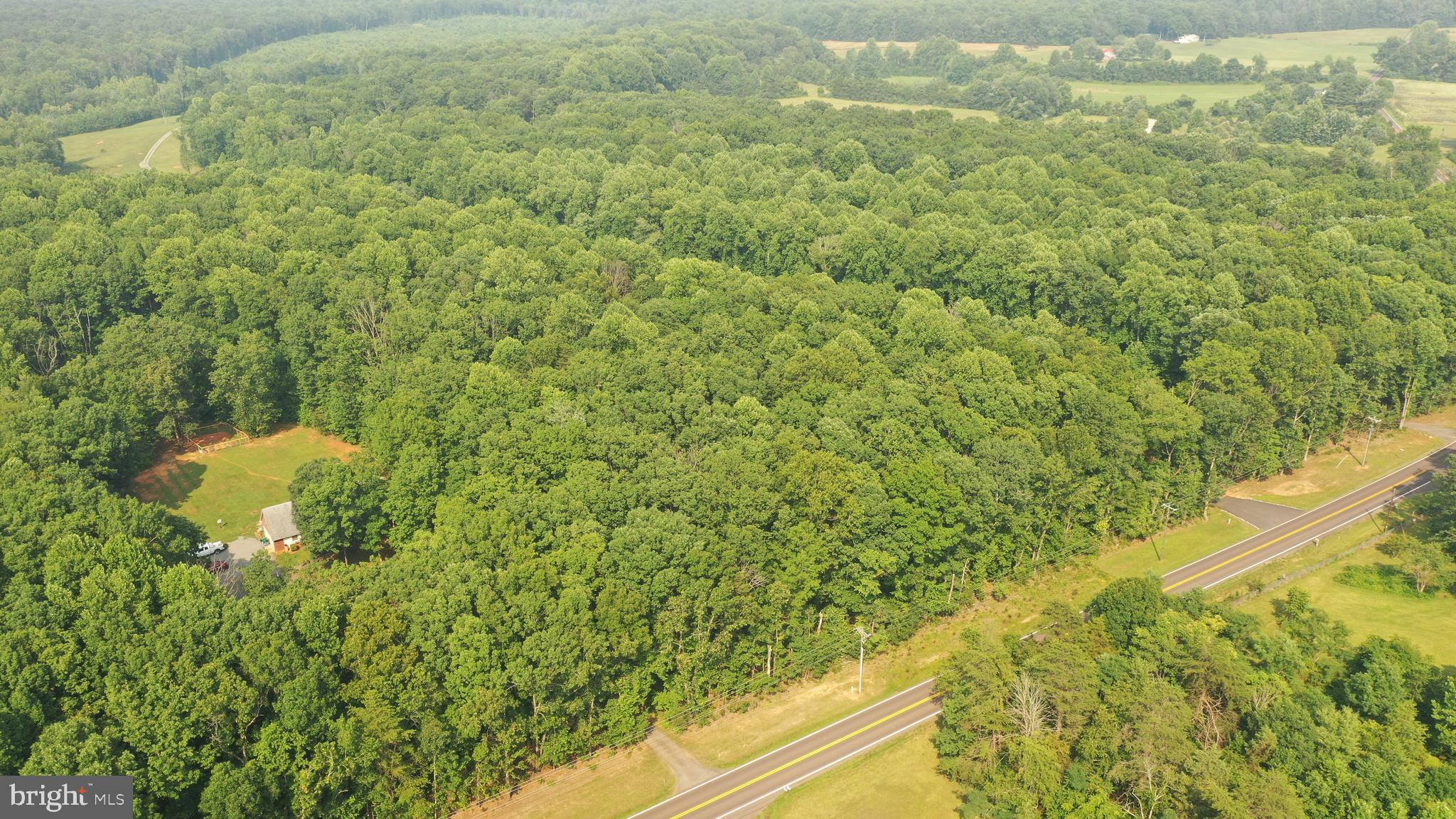 Tbd Mine Run Road Rhoadesville, VA 22542 - Photo 2 of 32 a view of a forest from a window
