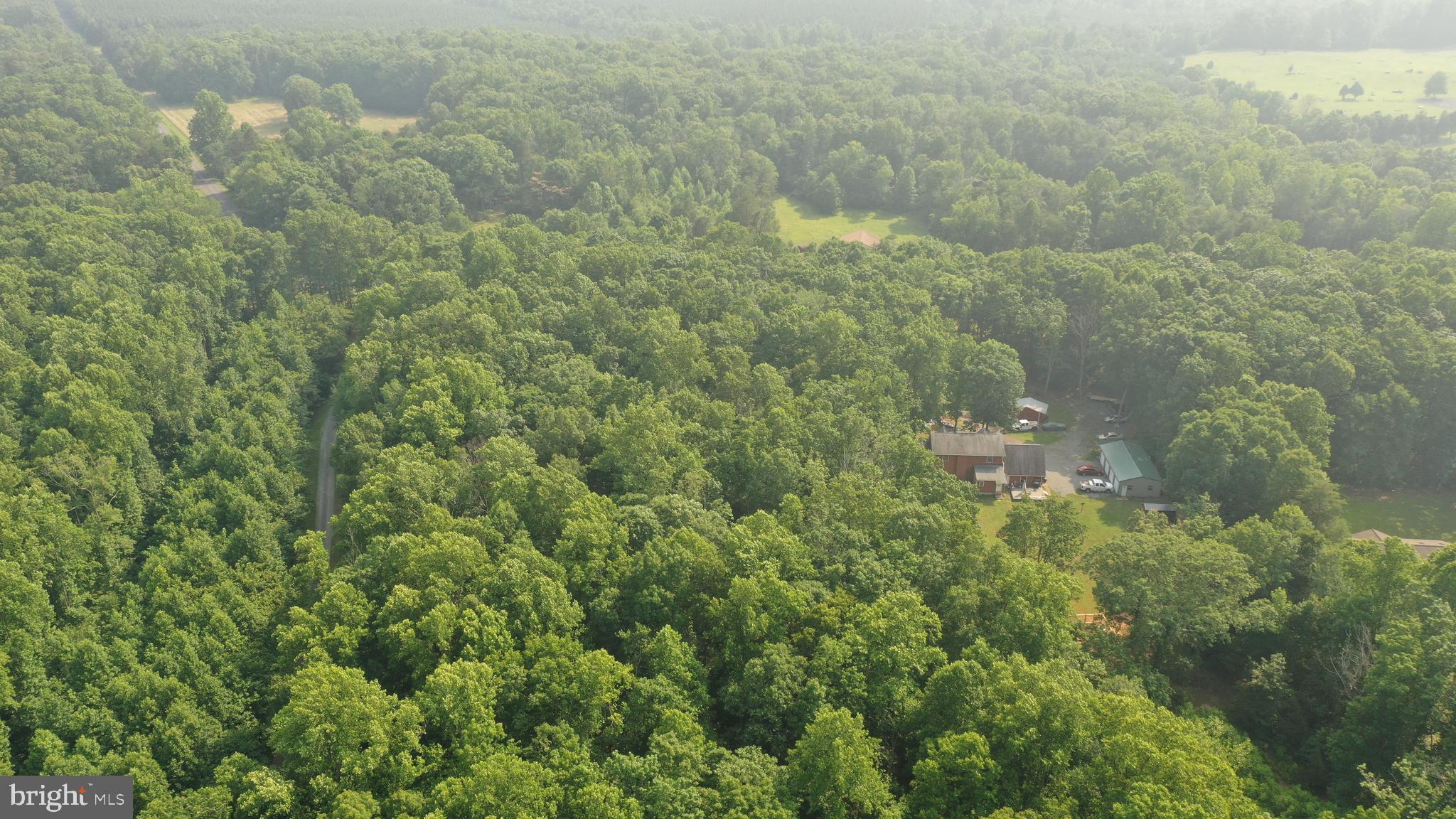 Tbd Mine Run Road Rhoadesville, VA 22542 - Photo 24 of 32 a view of a forest with a houses