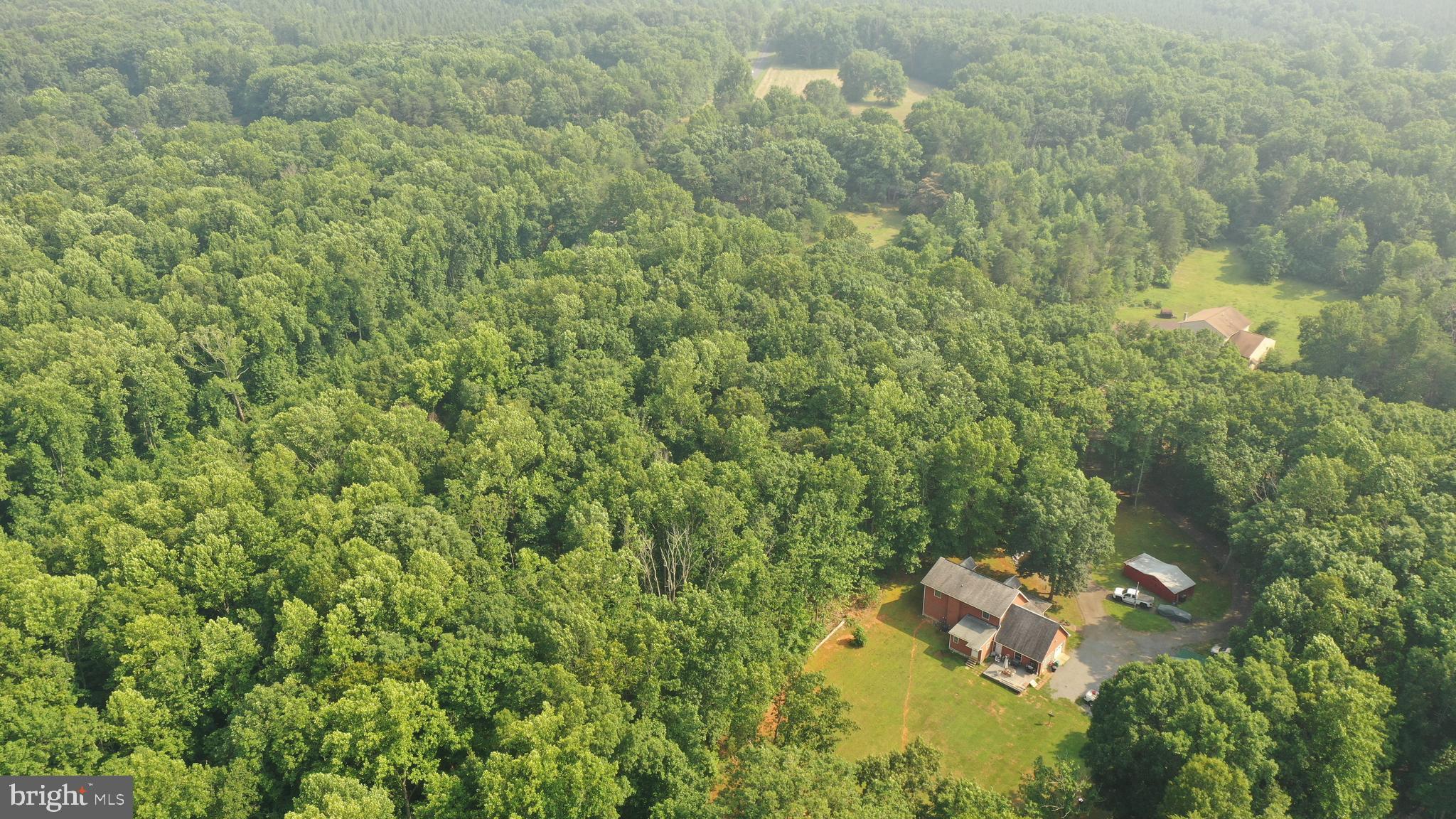 Tbd Mine Run Road Rhoadesville, VA 22542 - Photo 25 of 32 a view of a yard with a tree