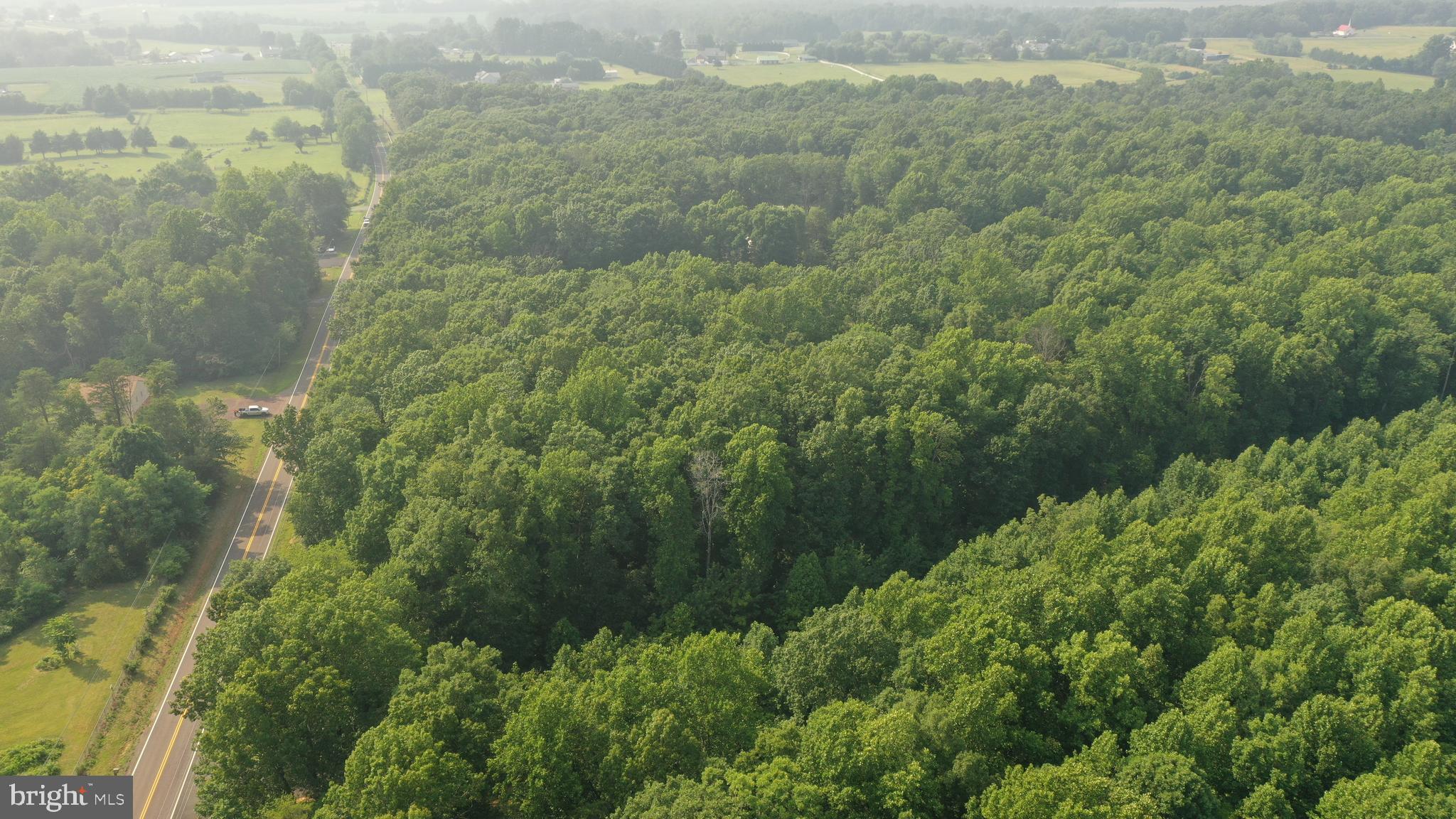 Tbd Mine Run Road Rhoadesville, VA 22542 - Photo 26 of 32 a view of a forest with a lake