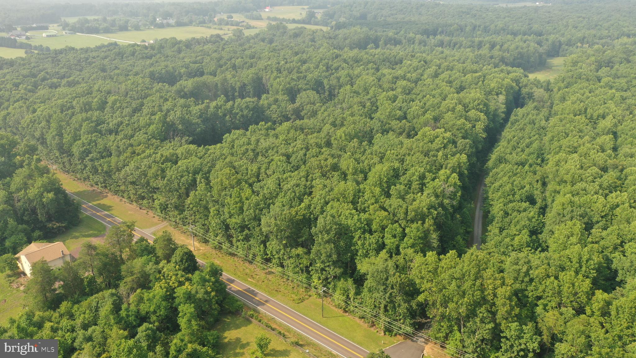 Tbd Mine Run Road Rhoadesville, VA 22542 - Photo 4 of 32 a view of a forest with a yard