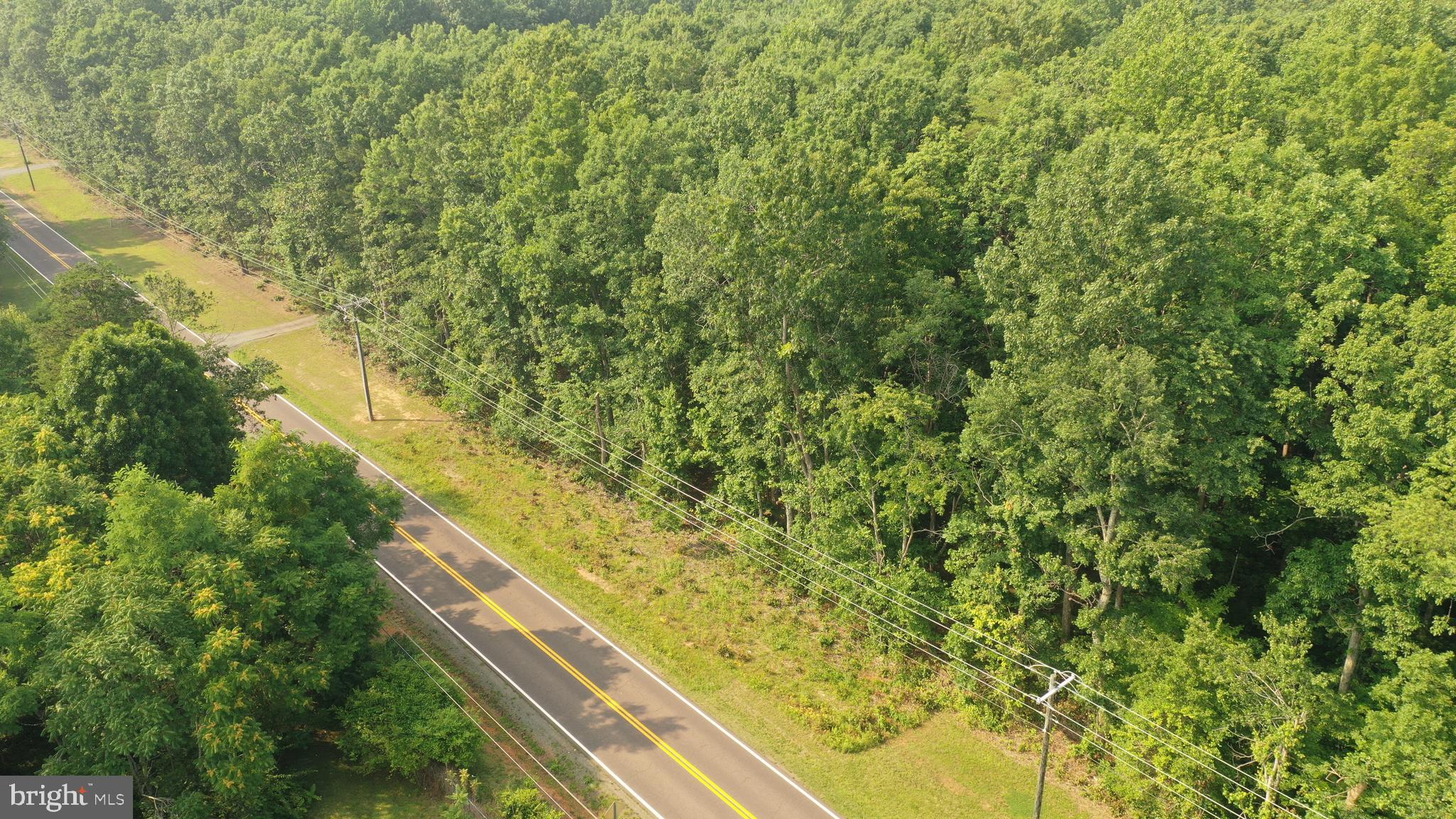 Tbd Mine Run Road Rhoadesville, VA 22542 - Photo 7 of 32 a view of mountain with green field
