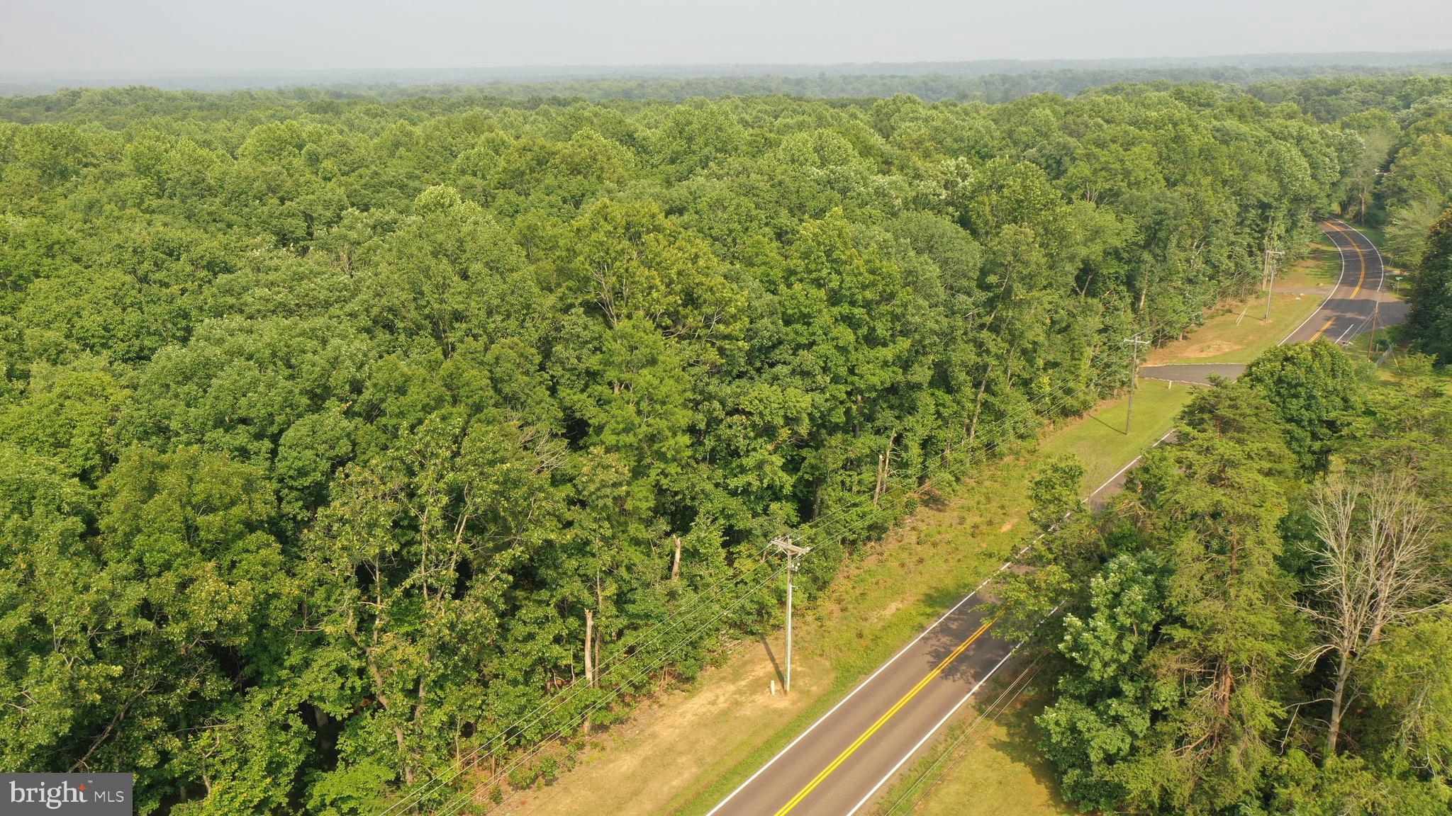 Tbd Mine Run Road Rhoadesville, VA 22542 - Photo 9 of 32