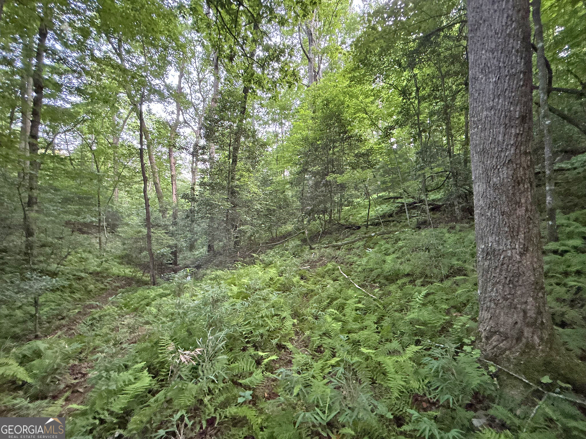 Lot 20 Mt Springer Road Ellijay, GA 30540 - Photo 29 of 32