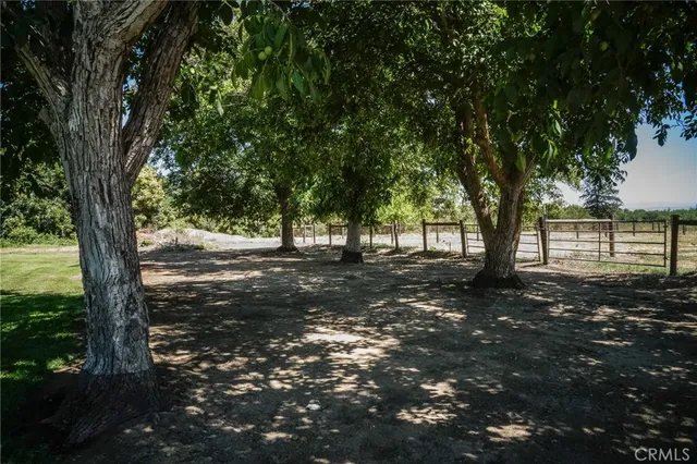a view of a house with backyard and garage