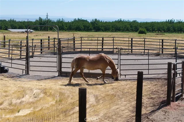 a view of outdoor space with garden