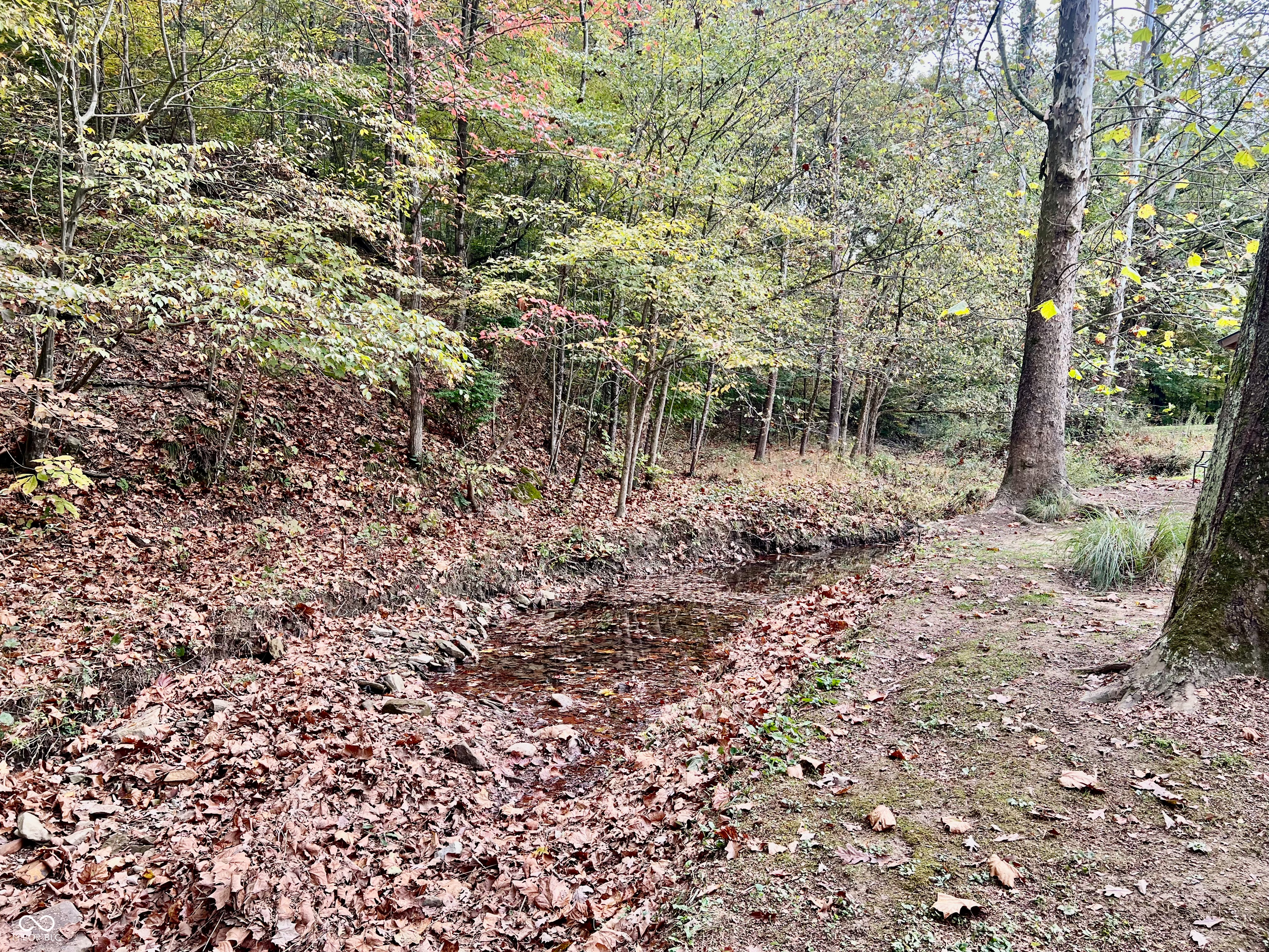 7693 South Bob Allen Road Freetown, IN 47235 - Photo 41 of 48