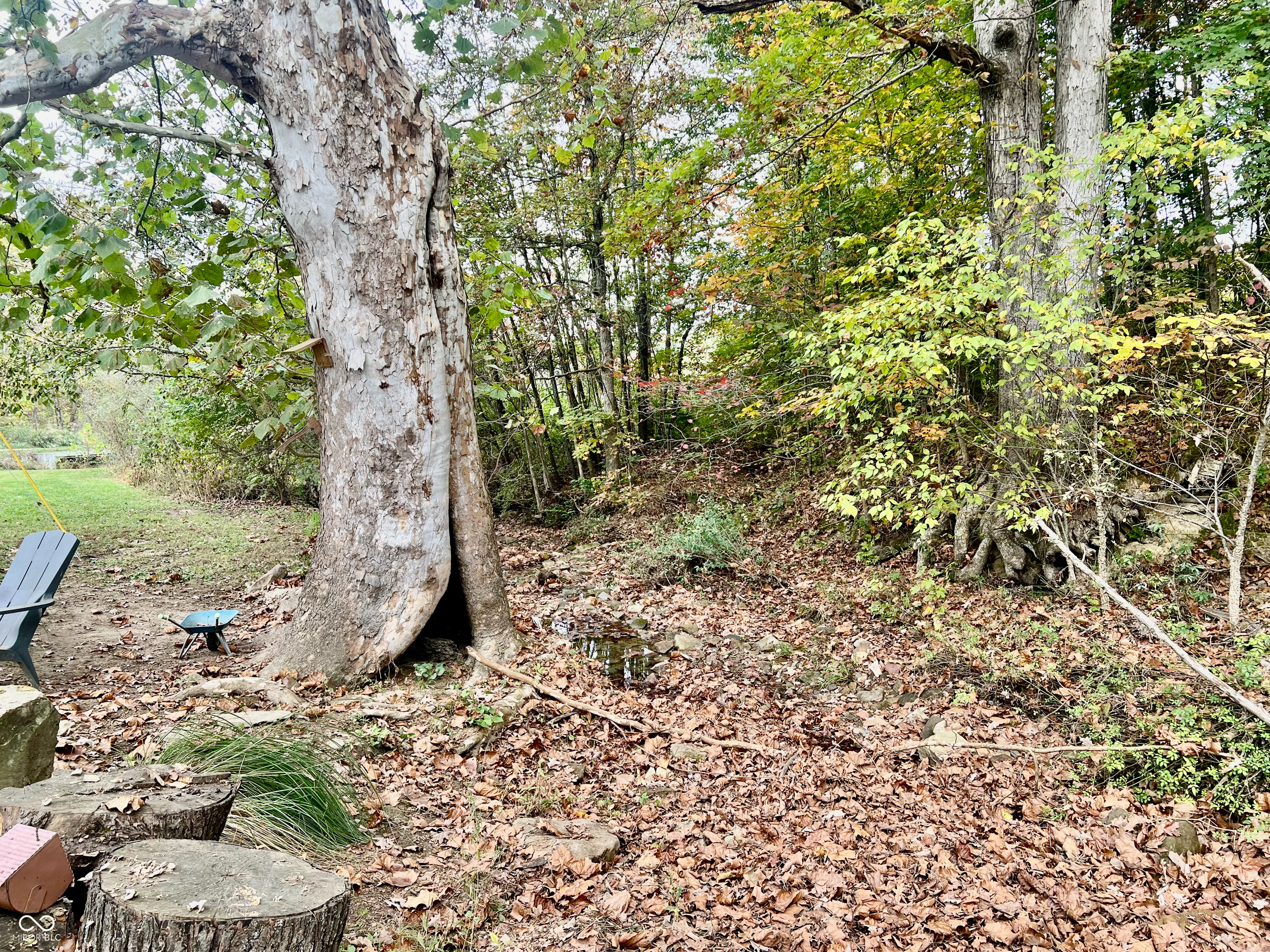 7693 South Bob Allen Road Freetown, IN 47235 - Photo 42 of 48