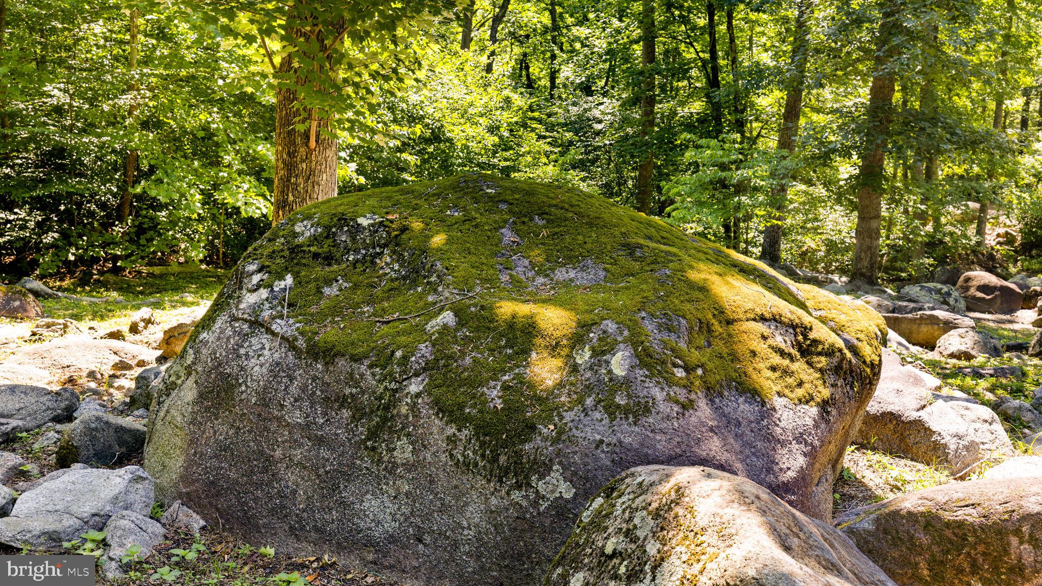 1319 Champe Plain Road Etlan, VA 22719 - Photo 46 of 63 Beautiful Boulders around the Property