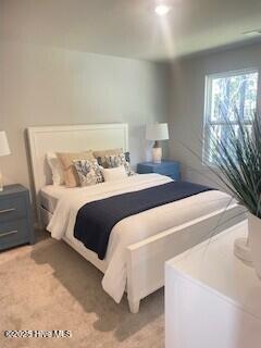 723 Palm Frond Way Calabash, NC 28467 - Photo 11 of 29 Furnished model pictures, not actual homesite