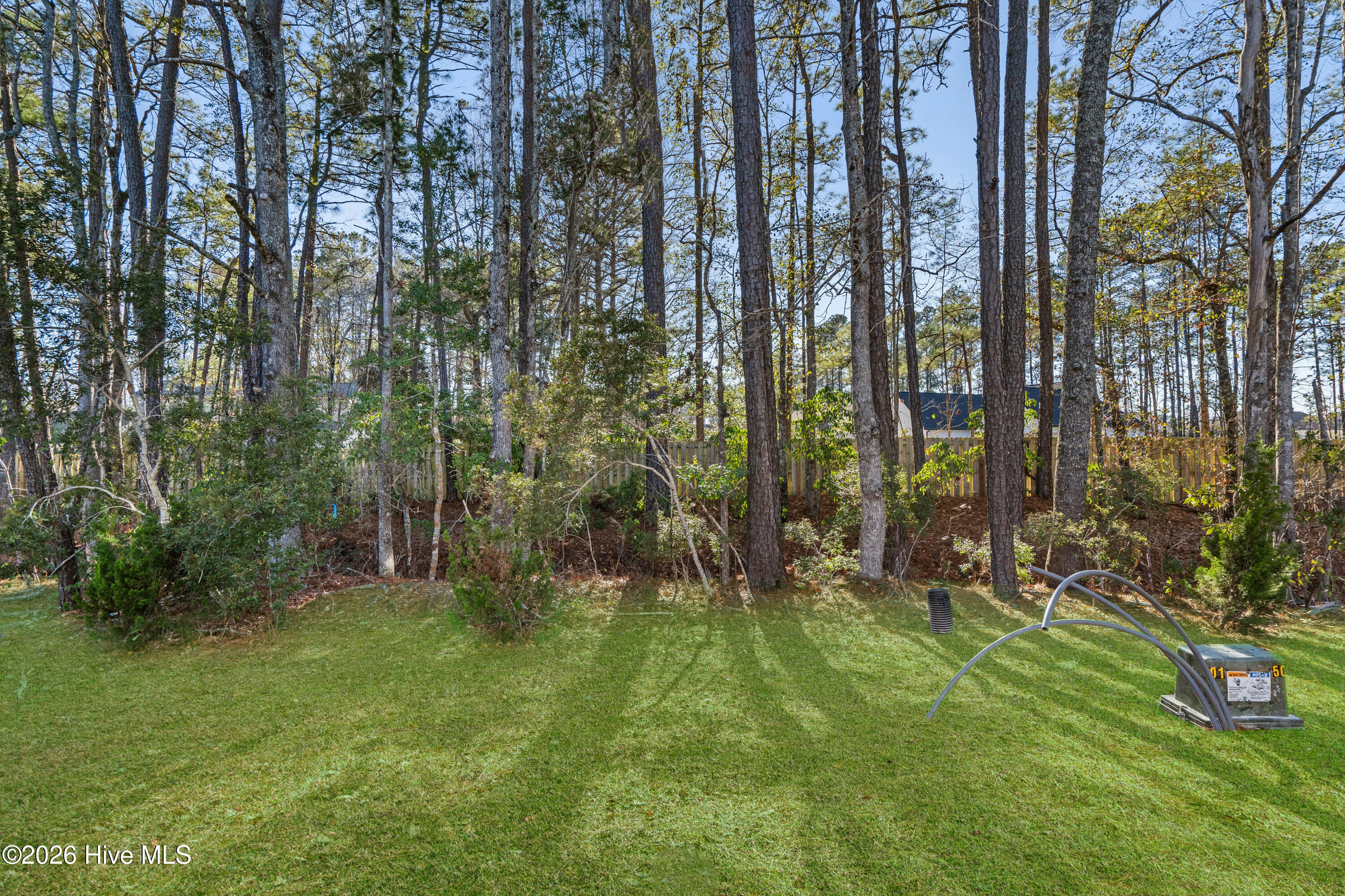 723 Palm Frond Way Calabash, NC 28467 - Photo 26 of 29 Backyard 3