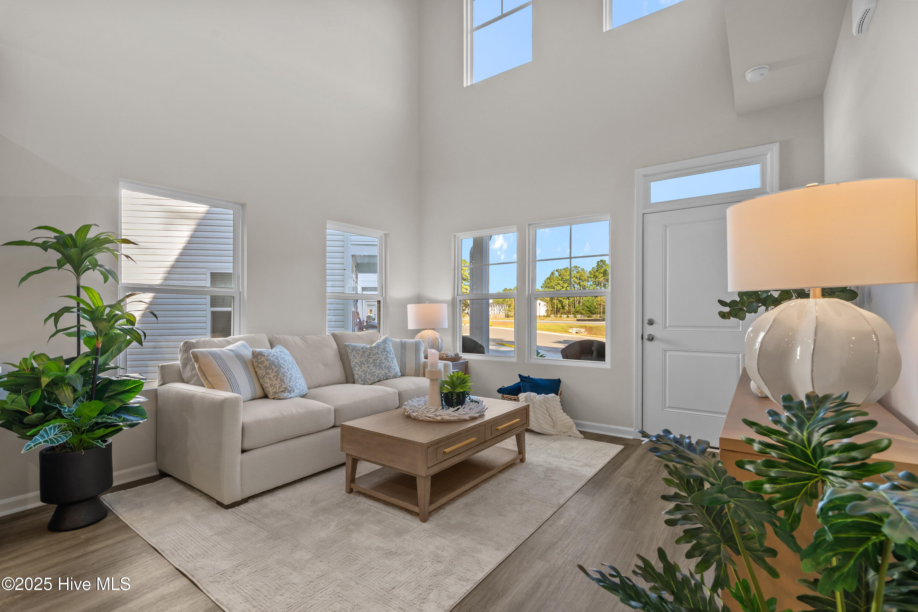 723 Palm Frond Way Calabash, NC 28467 - Photo 7 of 29 Furnished model pictures, not actual homesite