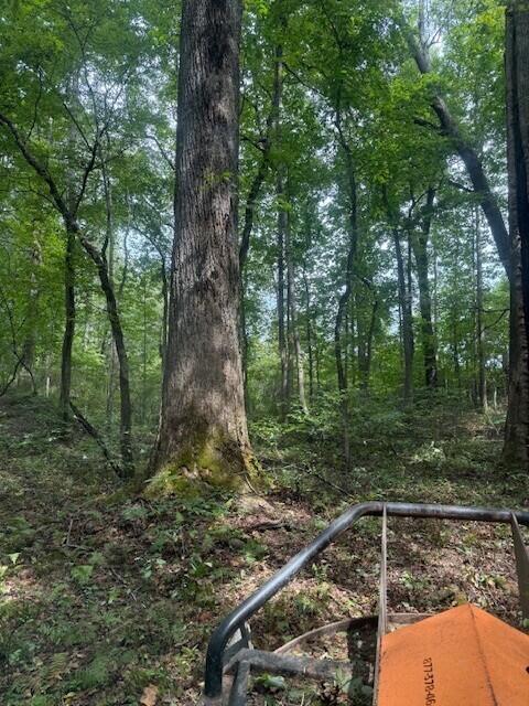 Lot 1 Tipple Road, Unit LOT 1 Tracy City, TN 37387 - Photo 17 of 21 17