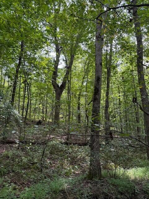 Lot 1 Tipple Road, Unit LOT 1 Tracy City, TN 37387 - Photo 18 of 21 19