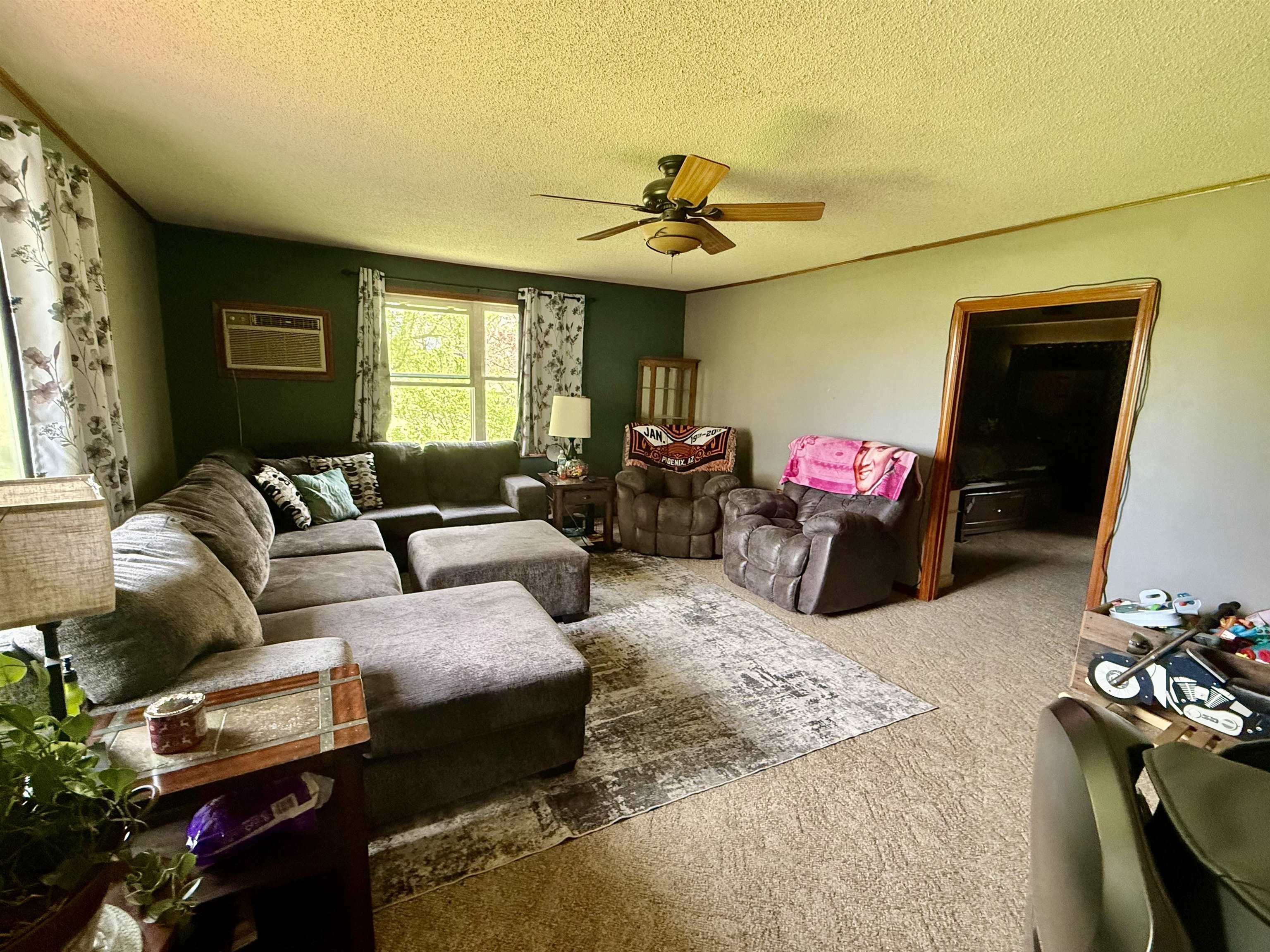 742 East Van Buren Road Alma, MI 48801 - Photo 17 of 38