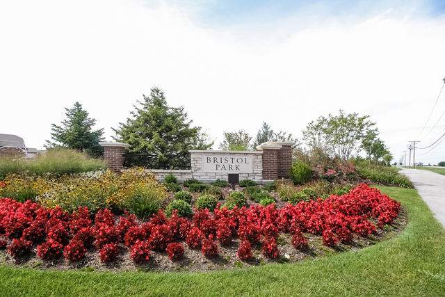 2097 Rownham Hill Road New Lenox, IL 60451 - Photo 9 of 13 a view of a house with a big yard and potted plants