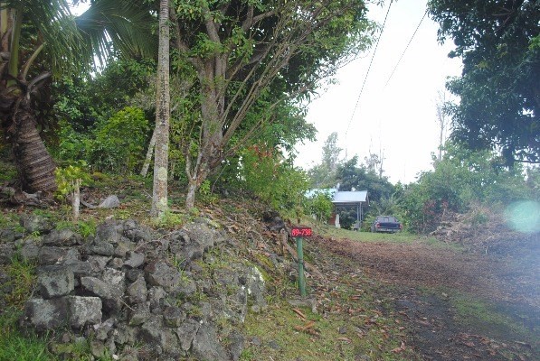 89-738 Lani Kona Road Captain Cook, HI 96704 - Photo 17 of 18 Gallery Image 17