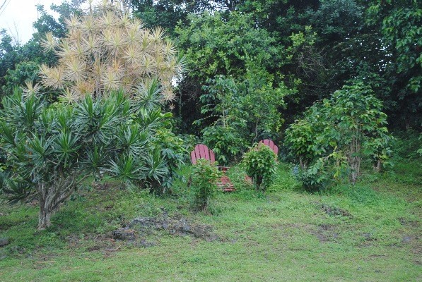 89-738 Lani Kona Road Captain Cook, HI 96704 - Photo 4 of 18 Gallery Image 4