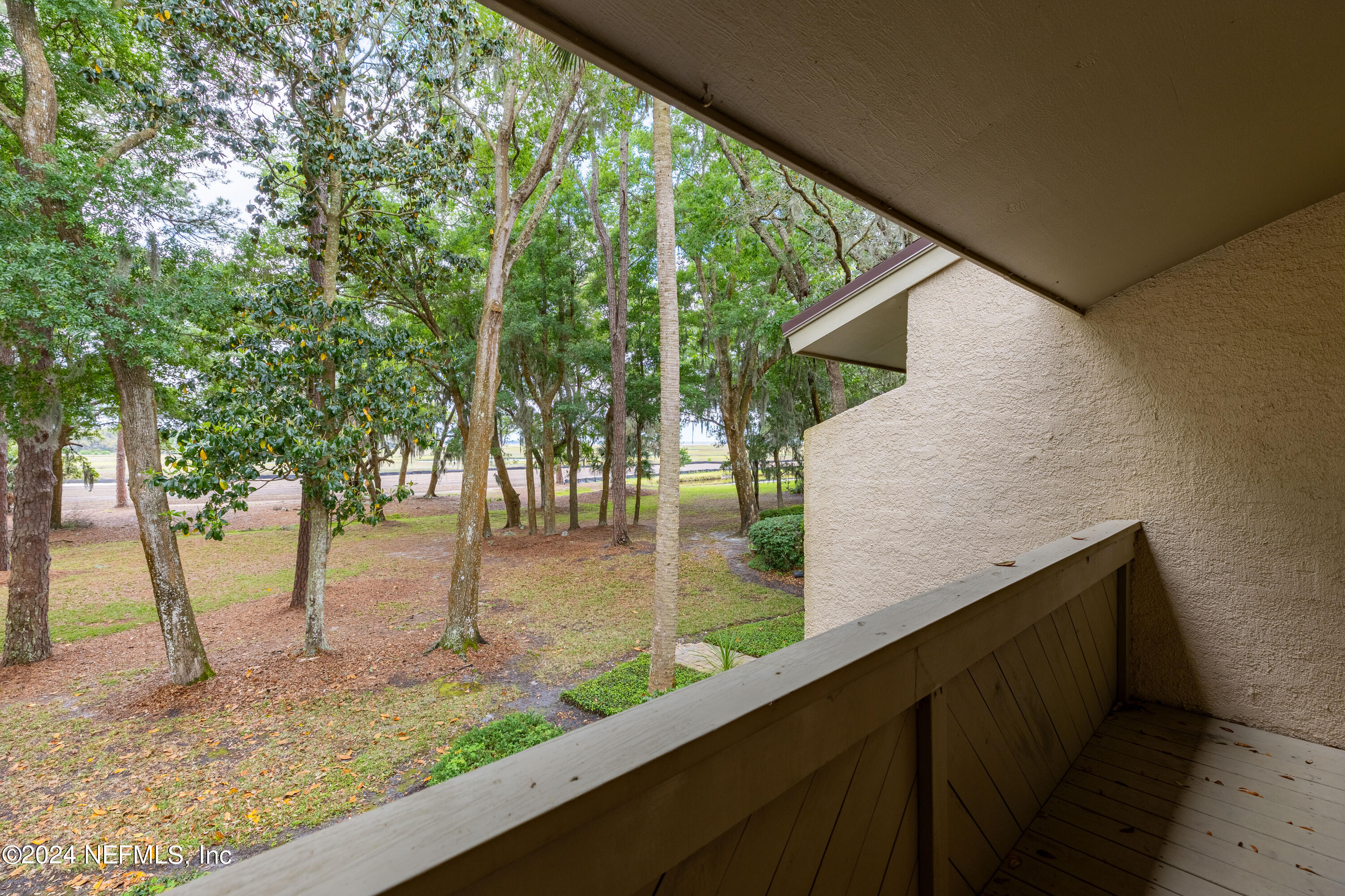 3025 Sea Marsh Road Fernandina Beach, FL 32034 - Photo 24 of 54 a view of a backyard and tree