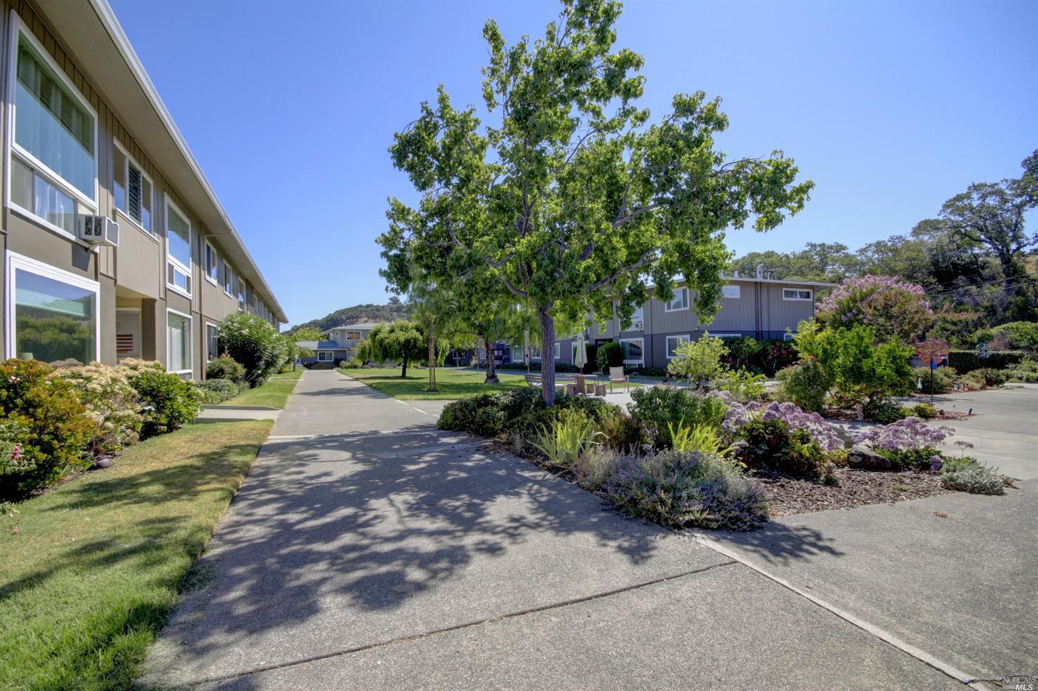 1016 D Los Gamos Road San Rafael, CA 94903 - Photo 1 of 1 Gallery Image 1