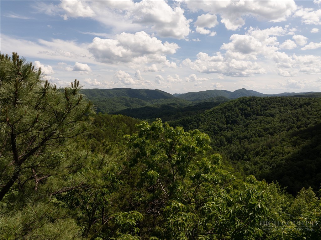 75 Lobelia Lane Boone, NC 28607 - Photo 13 of 50