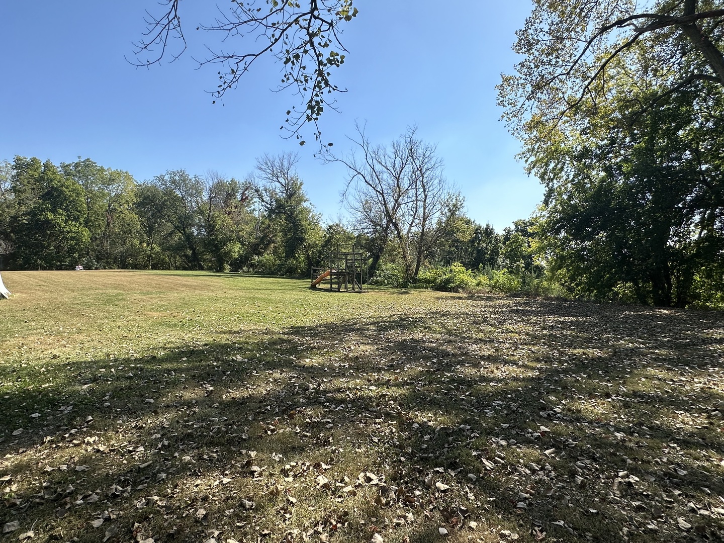 13629 Garden Plain Road Morrison, IL 61270 - Photo 7 of 28 a view of a field with an trees