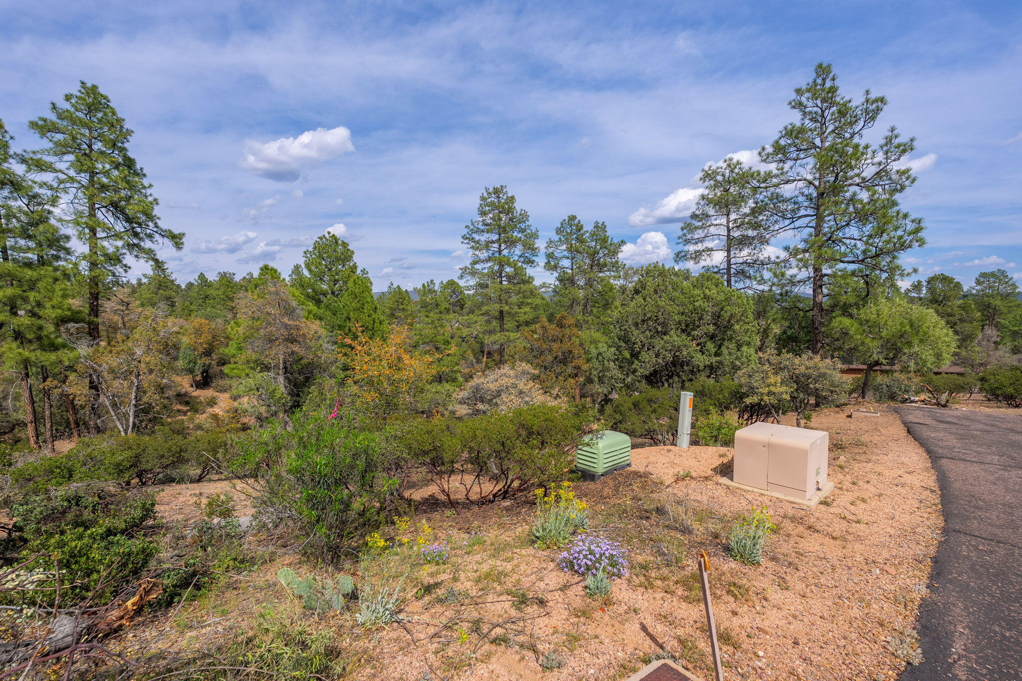 3008 East Arrow Point Payson, AZ 85541 - Photo 3 of 22