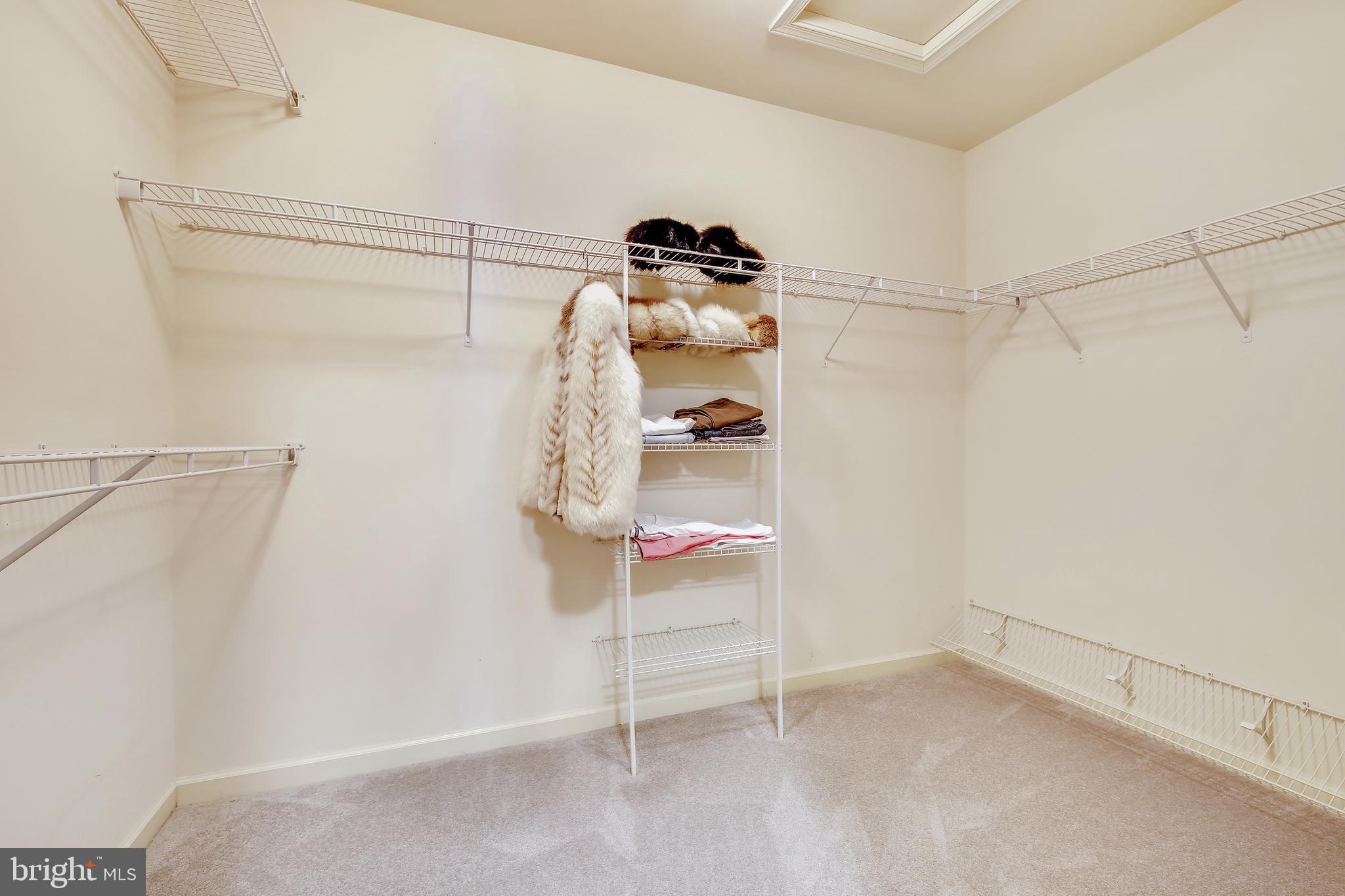 1502 Rabbit Hollow Place Silver Spring, MD 20906 - Photo 21 of 36 Master Walk-in