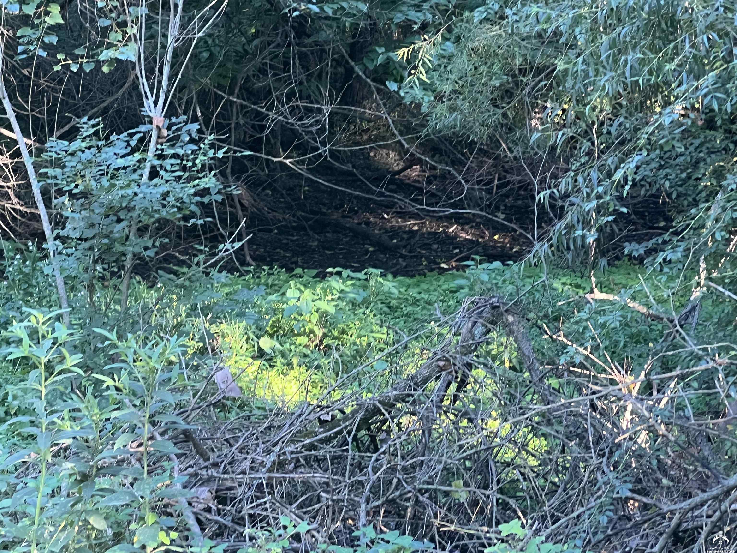 80 East 1600 Road Baldwin City, KS 66006 - Photo 32 of 39