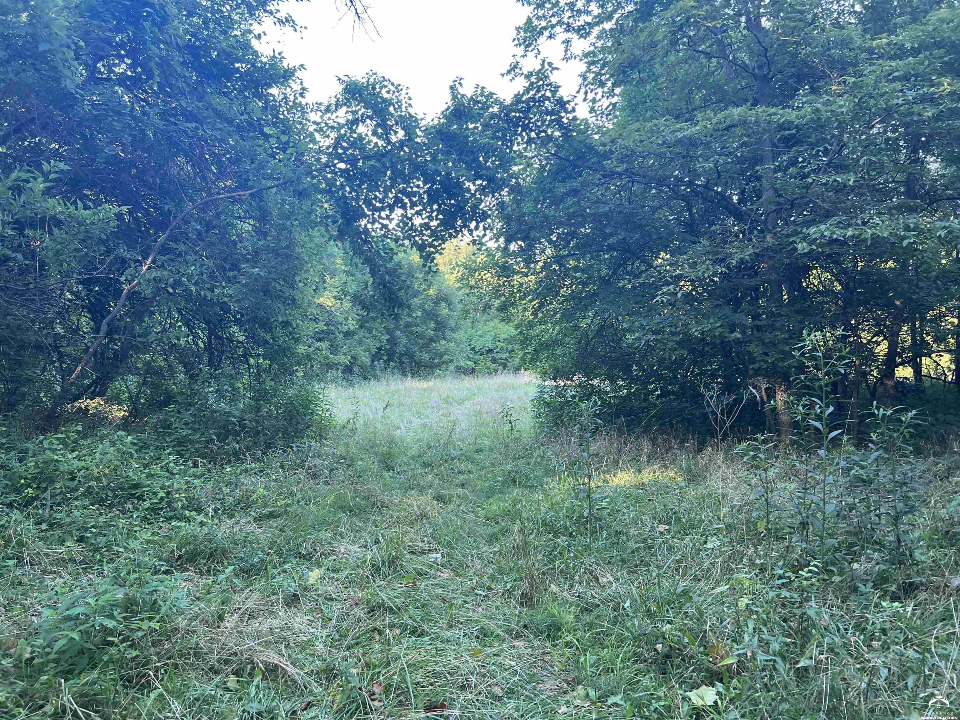 80 East 1600 Road Baldwin City, KS 66006 - Photo 37 of 39