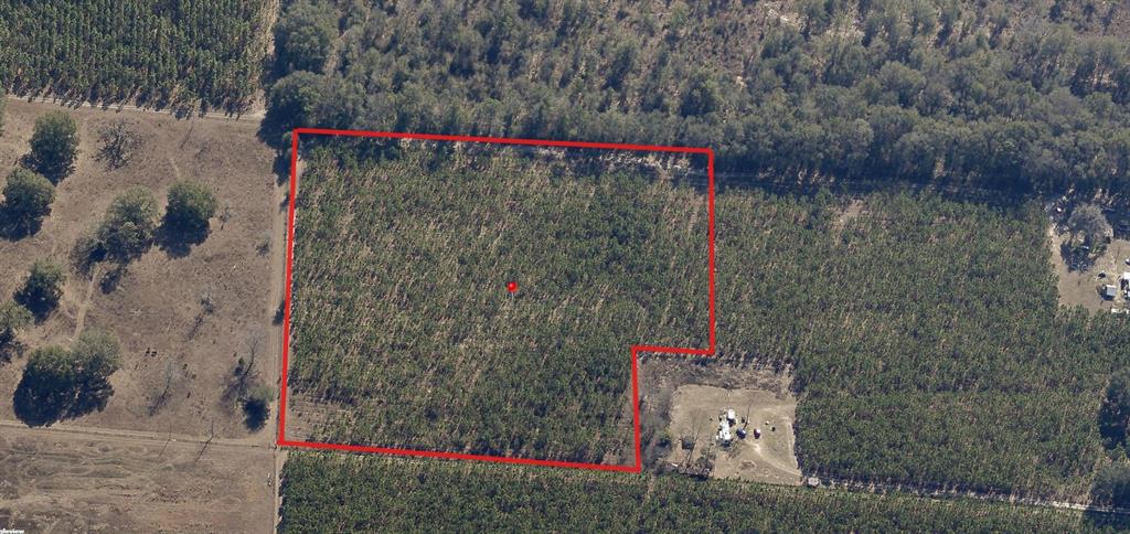 8250 225th Road Live Oak, FL 32060 - Photo 12 of 16