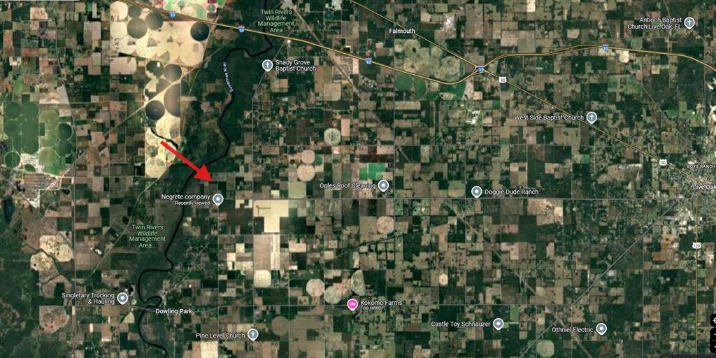 8250 225th Road Live Oak, FL 32060 - Photo 15 of 16