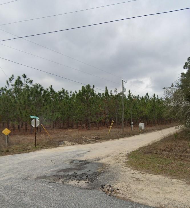 8250 225th Road Live Oak, FL 32060 - Photo 8 of 16