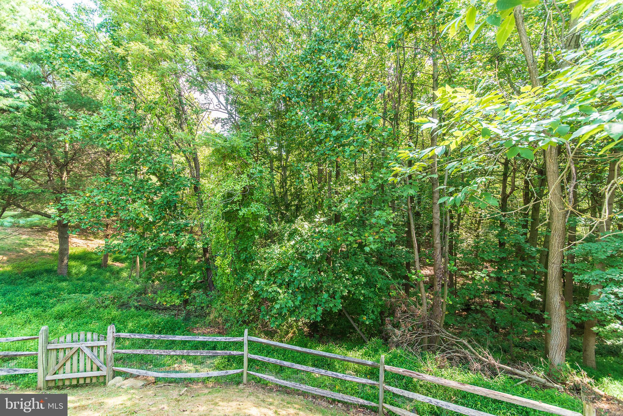 441 Rambler Road Bel Air, MD 21015 - Photo 54 of 72 Spacious Yard Backing to Trees