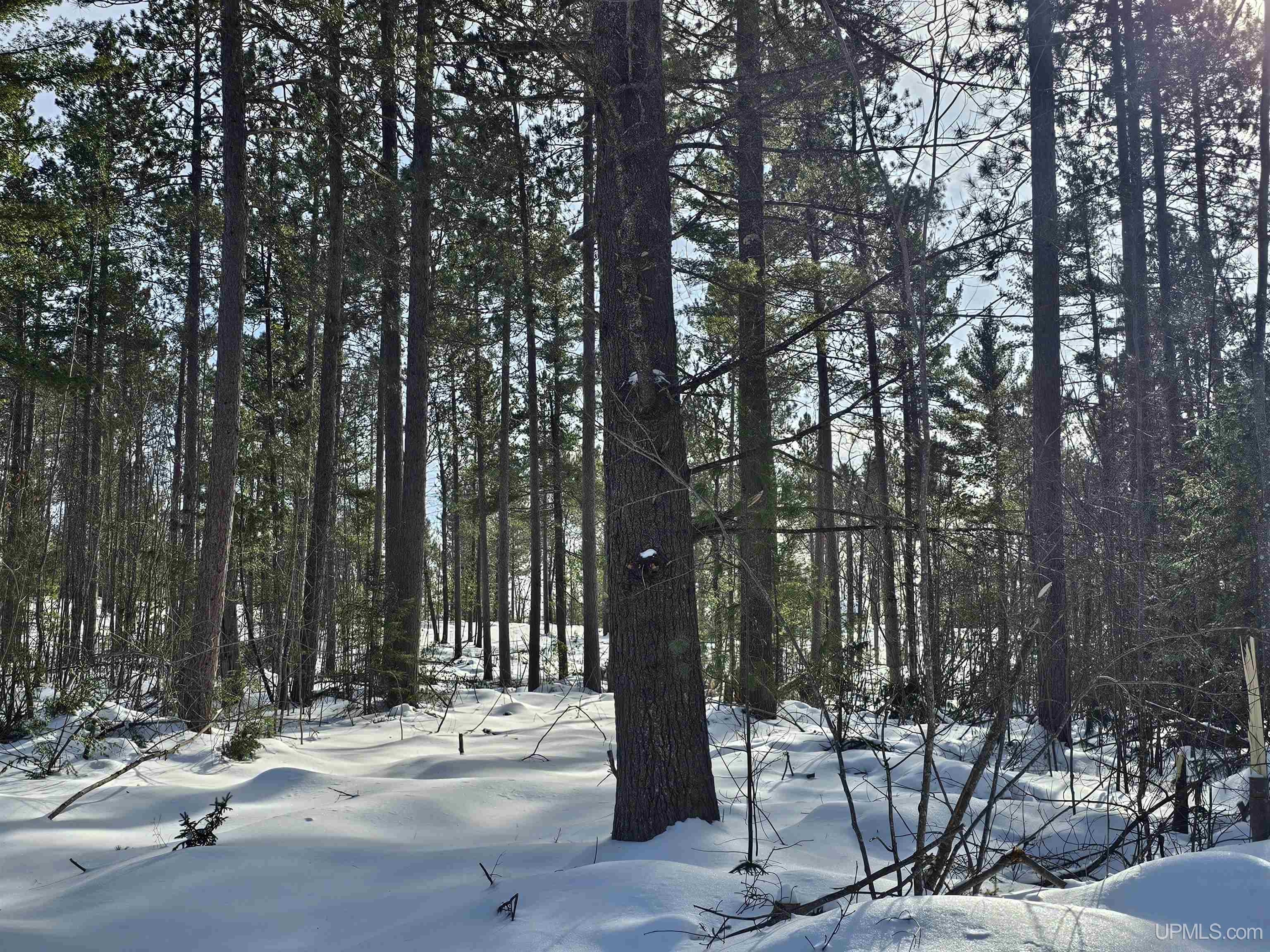 220 Acres Off Co Road Negaunee, MI 49866 - Photo 6 of 9