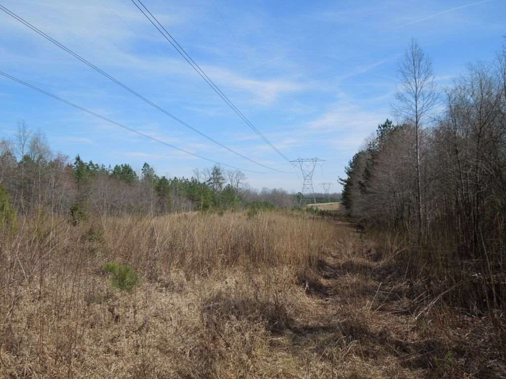 87 Highway 87 Graham, NC 27253 - Photo 8 of 10 Photo 8