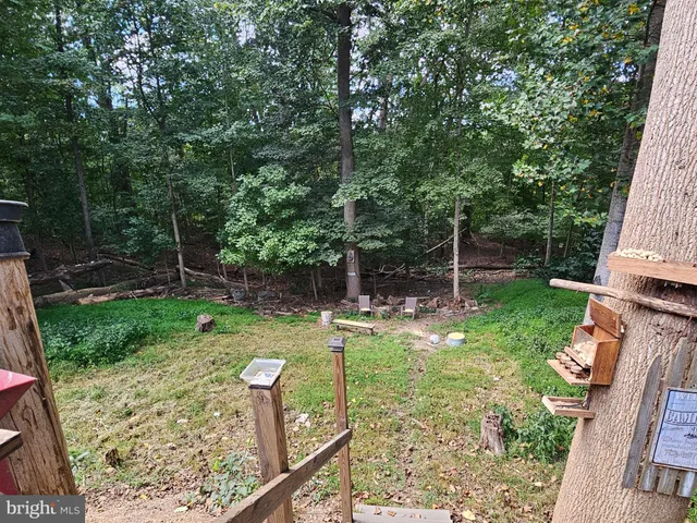 a view of a patio with table and chairs and potted plants