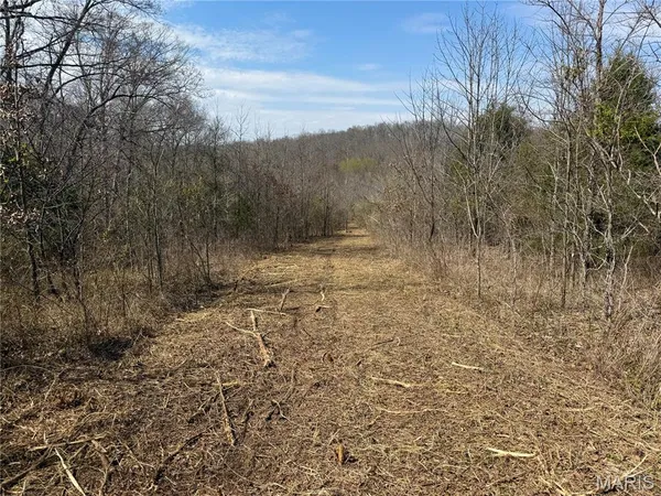 $474,900 | 4311 County Road 379, Whitewater, MO 63785