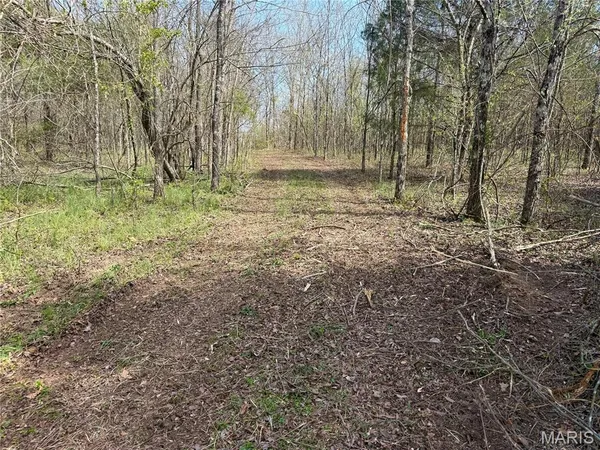 $474,900 | 4311 County Road 379, Whitewater, MO 63785