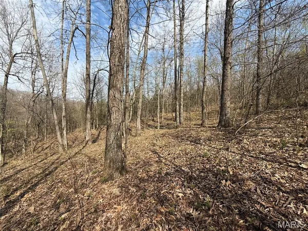 $474,900 | 4311 County Road 379, Whitewater, MO 63785