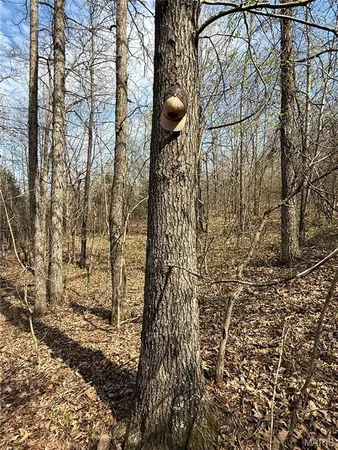 $474,900 | 4311 County Road 379, Whitewater, MO 63785