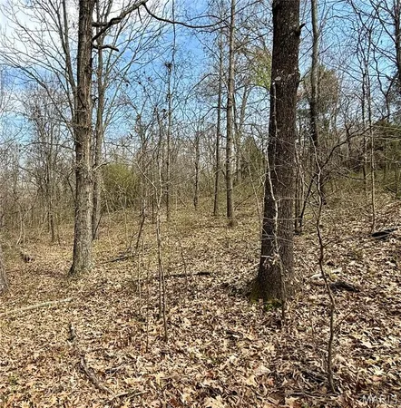 $474,900 | 4311 County Road 379, Whitewater, MO 63785