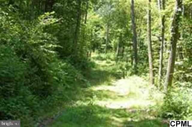 Lot 5 Indiana Road Landisburg, PA 17040 - Photo 1 of 1 Gallery Image 1