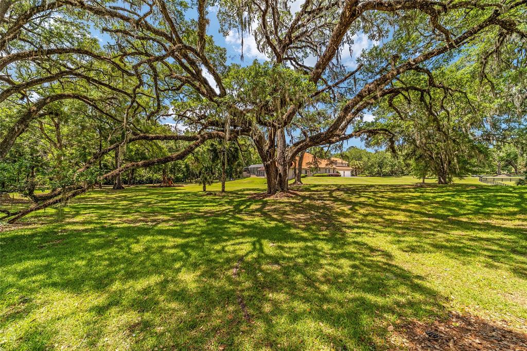 2380 Southeast 73rd Loop Ocala, FL 34480 - Photo 88 of 89