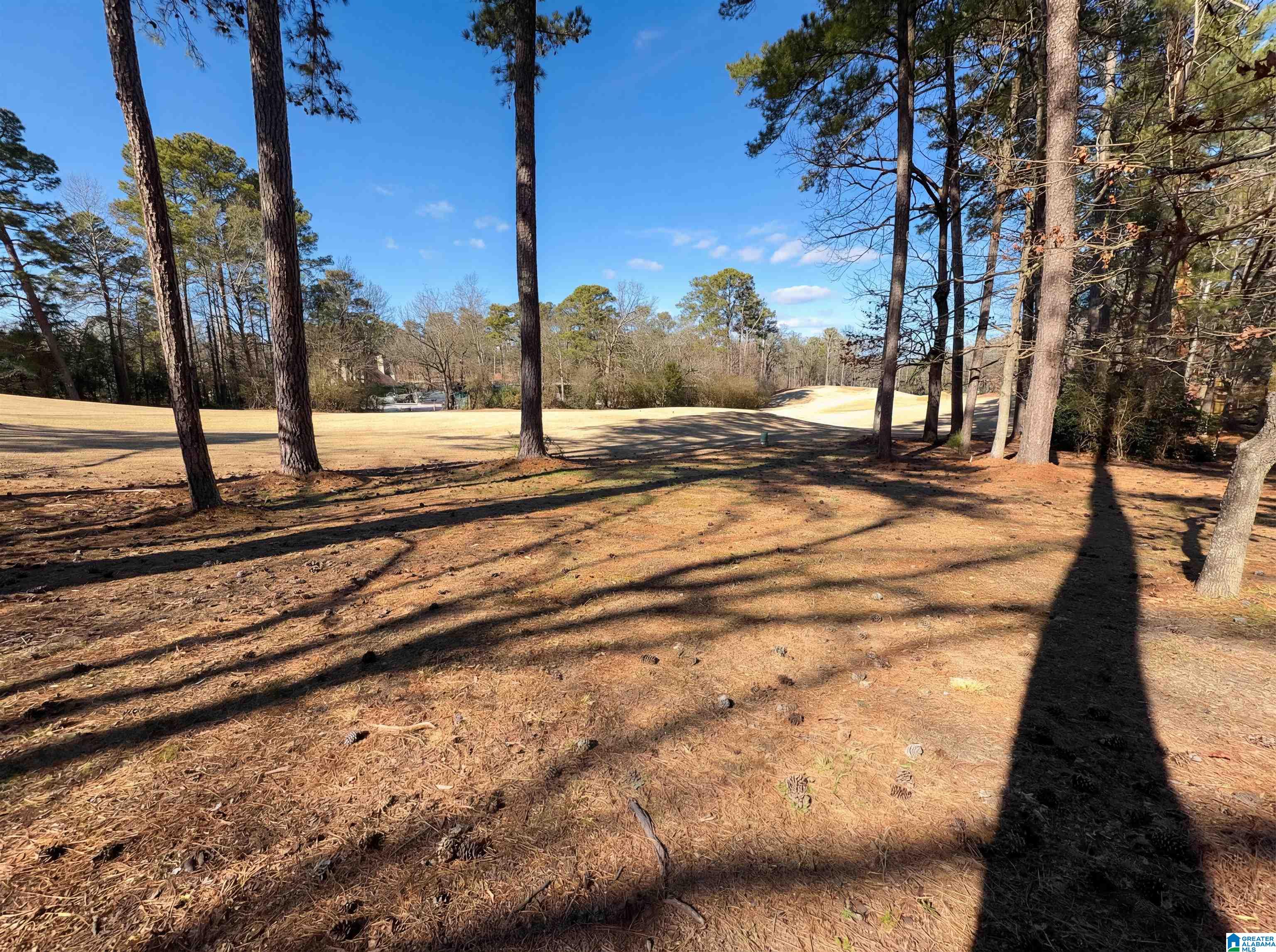 5048 Kerry Downs Road Birmingham, AL 35242 - Photo 21 of 22