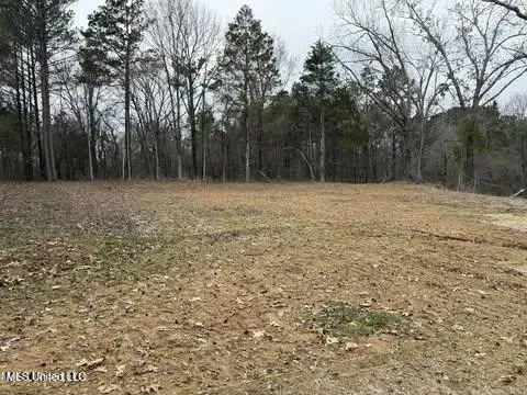 $120,000 | 10756 Honey Ridge Drive, Hernando, MS 38632