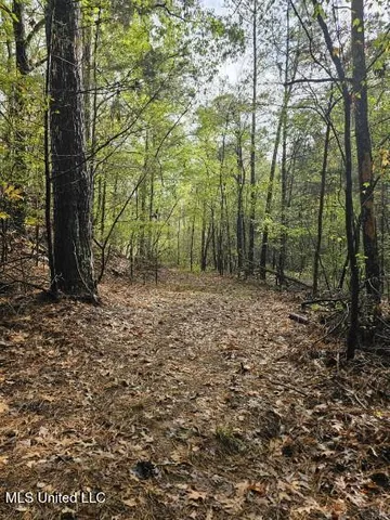 $120,000 | 10756 Honey Ridge Drive, Hernando, MS 38632