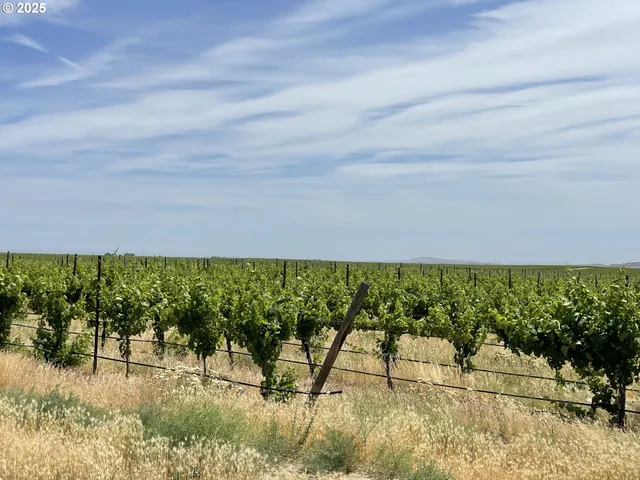 a view of swimming pool from a balcony
